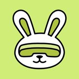 Roborabbit